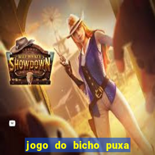 jogo do bicho puxa de dona maria